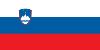 flag image
